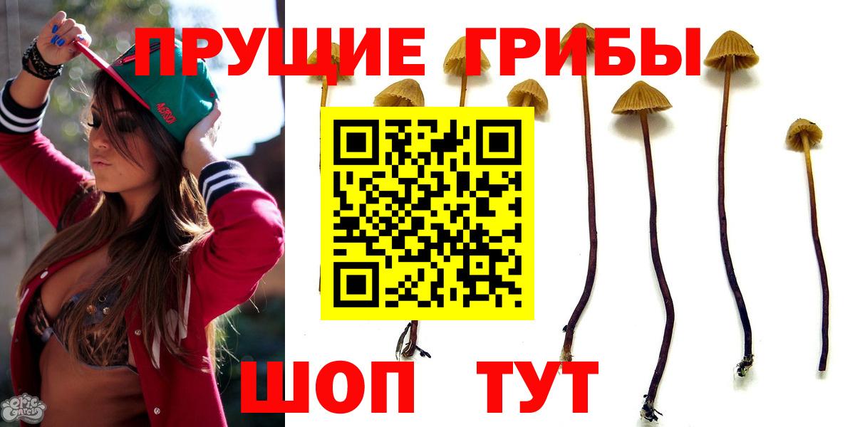 Галлюциногенные грибы Psilocybe Шумерля