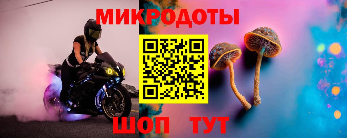 как найти закладки  Галлюциногенные грибы Psilocybine cubensis  Вход с VPN  Шумерля  Псилоцибиновые грибы прущие грибы 